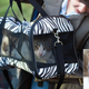 Illustration for article titled Woman Adopts Second Cat For First One To Terrorize While She At Workem/em